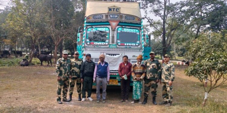 बीएसएफ बांग्लादेश सीमा – किशनगंज :87भेंसें मुक्त-दो ट्रकों किया जब्त -09तस्कर गिरफ्तार