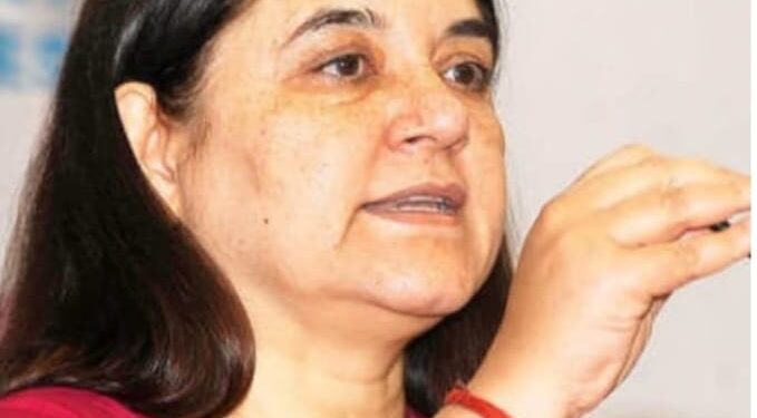 सुल्तानपुर- सांसद मेनका आज पार्किंग जोन में जि. पंचायत,न.पा.और सांसद निधि के कार्यों का करेंगी शिलान्यास- लोकार्पण