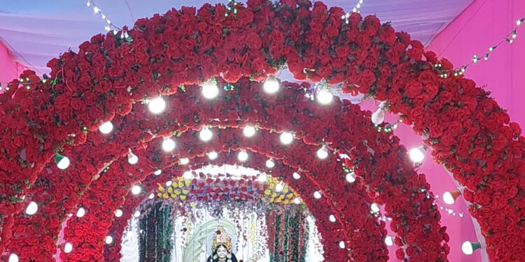 बारसोई में धूमधाम से मनाई गई सरस्वती पूजा।