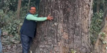 पेड़ की कटाई व मानव अतिक्रमण से जंगल छोड़ रहे जानवर- मनुष्य और जानवरों की बीच टकराव चरम पर