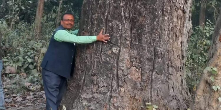 पेड़ की कटाई व मानव अतिक्रमण से जंगल छोड़ रहे जानवर- मनुष्य और जानवरों की बीच टकराव चरम पर