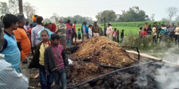 आग लगने से गाय एवं बकड़ी जले,