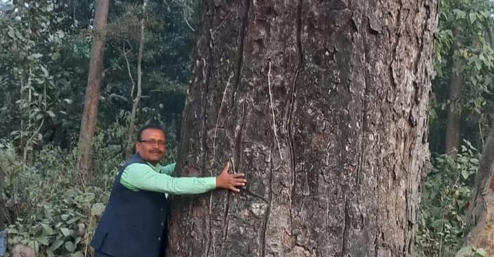 रंग लाने लगी बृक्ष मानव सुरेश शर्मा के भीम सखुवा बचाने की मुहिम, की गयी वैज्ञानिक परीक्षण