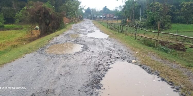 दर्जनों गांवों को जोड़ने वाली सड़क पहली बारिश में हीं तालाब में तब्दील