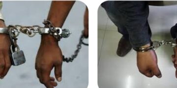 सुल्तानपुर- भूमाफियाओं की रंगबाजी का डीएम ने लिया संज्ञान- सीआरओ करेंगे रिपोर्ट।