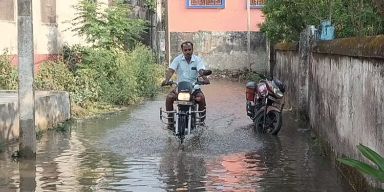 अररिया – 18 साल में तीन वार्ड पार्षद बदलने के बाद भी नहीं हुआ शिवपुरी वार्ड नंबर 9 का विकास