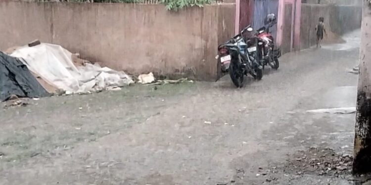 अररिया जिला मुख्यालय व प्रखंड में हुई बारिश से आम लोगों को चिलचिलाती धूप एवं उमस भरी गर्मी से मिली राहत।