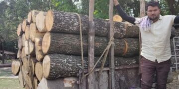 सिकटी – एक तरफ पर्यावरण संरक्षण को लेकर पेड़ लगाया जा रहा है तो दूसरी तरफ अररिया में धड़ल्ले से हो रही पेड़ों की कटाई