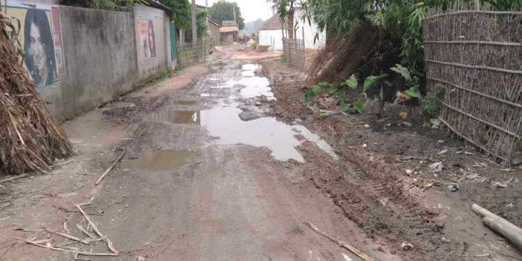 पलासी प्रखंड क्षेत्र के अंतर्गत से सड़क की स्थिति बरसात के दिनों में ही काफी खराब हो गई है