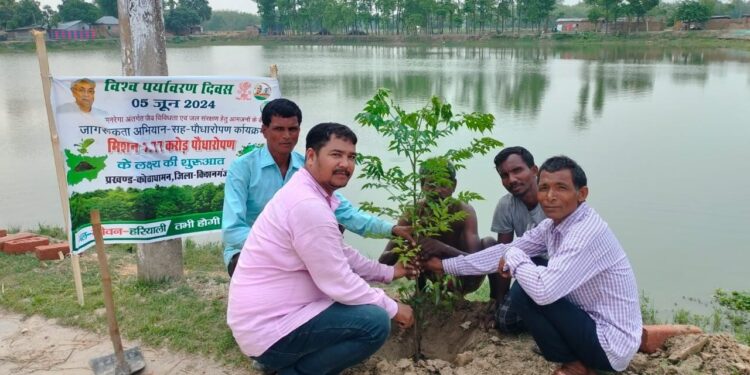 कोचाधामन: विश्व पर्यावरण दिवस के शुभ अवसर पर अमृत सरोवर के आसपास वृक्षारोपण कर दिया हरियाली का संदेश
