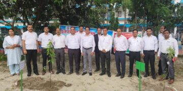 विश्व पर्यावरण दिवस के अवसर पर व्यवहार न्यायालय परिसर में किया वृक्षारोपण