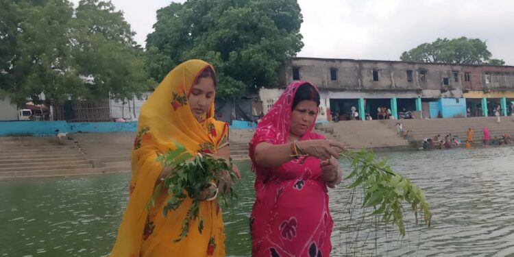 नजरिया न्यूज / नाग पंचमी का पर्व कुशेश्वरस्थान दोनों प्रखंड में हर्षोल्लास के साथ पारम्परिक रूप से मनाया गया।