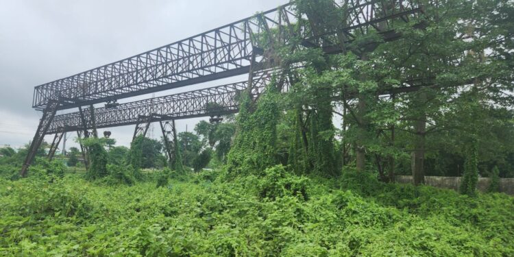 उद्घाटन का बाट जोह रहा करोड़ों की लागत से बना मधेपुरा का कंक्रीट स्लीपर प्लांट