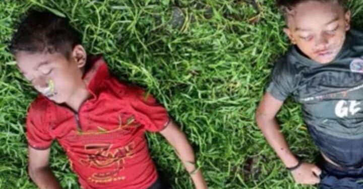 सु्लतानपुर -कादीपुर-तालाब मे स्नान करते समय दो सगे भाइयों की डूबने से मौत *