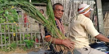 अररिया /सिकटी- भाद्र कृष्ण अमावस्या सोमवार 02 सितंबर को कुशी अमावस्या मनाया गया