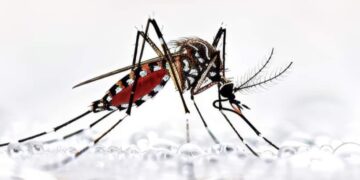 नाइट ब्लड सर्वे (फाइलेरिया) के पूर्व एलटी का कराया जाएगा प्रशिक्षण