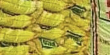 किसान- पूर्वांचल के जौनपुर सहित चार जिलों में डीएपी का संकट, छह जिलों में जरूरत से ज्यादा खाद