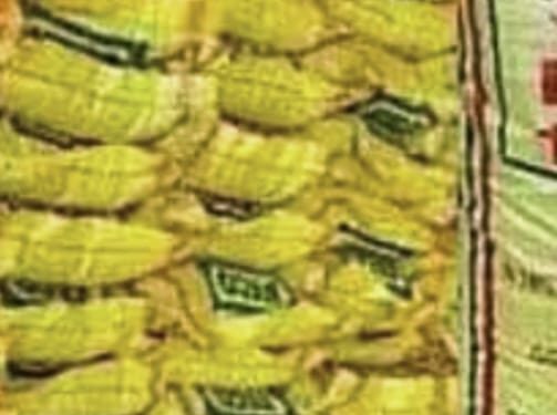 किसान- पूर्वांचल के जौनपुर सहित चार जिलों में डीएपी का संकट, छह जिलों में जरूरत से ज्यादा खाद