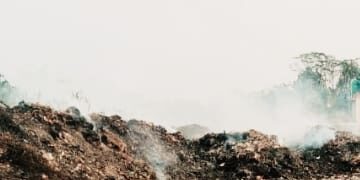 किशनगंज, बिहार -मोतीबाग मोहल्ले के स्वास्थ्य को खुली चुनौती दे रहा नगर परिषद का कचरा और उसके जलाने पर बरती जा रही उदासीनता