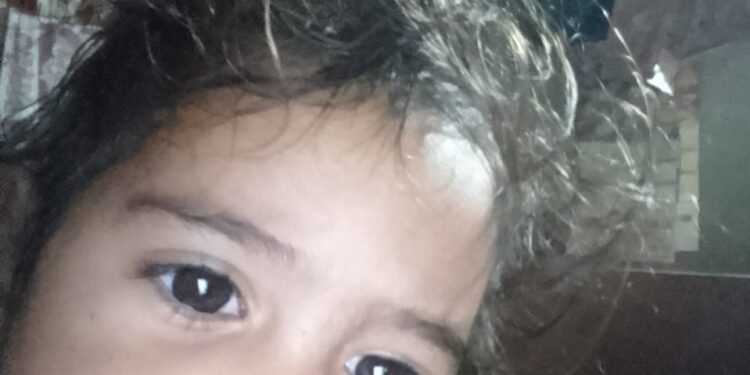 सुपौल – ट्रेक्टर से कुचल कर मासूम बच्ची की मौत ..।