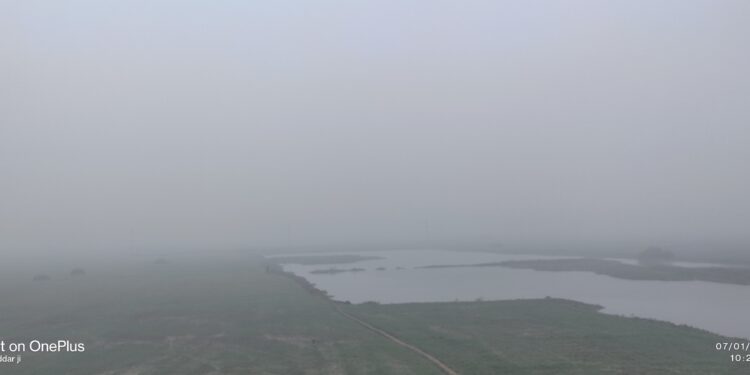 दरभंगा / कुशेश्वरस्थान :- कड़ाके की ठंड से जनजीवन अस्त-व्यस्त।