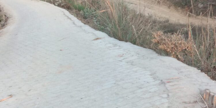 सुलतानपुर -तीन और सड़कों के बन जाने से ग्राम पंचायत सकरदे के प्रत्येक टोला तक सुगमता से पहुंचने लगेंगे चार पहिया वाहन