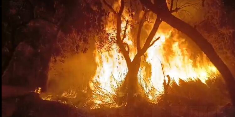 बेगूसराय – दबंगों के द्वारा किसान के खेत को आग लगा देने का मामला