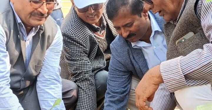 विश्व मातृ भाषा दिवस पर वृक्षारोपण, पर्यावरण संरक्षण का संदेश