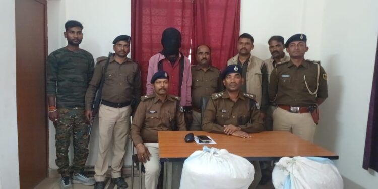 छातापुर पुलिस को मिली सफलता, पचास किलो गांजा के साथ एक गिरफ्तार।