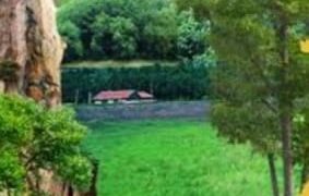 बिहार दिवस 2025 के भव्य आयोजन से संबंधित समीक्षा बैठक संपन्न