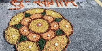 10मार्च तक मानव संपदा पोर्टल पर संपत्तियों का विवरण लोड करने की अंतिम तिथि