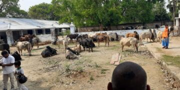 भूमि विवाद में एक युवक को पिट पिट कर हत्या; आक्रोशित ग्रामीणों ने एनएच 28 पगरा चौक किया जाम