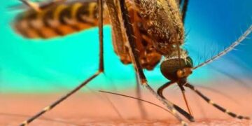 विश्व मलेरिया दिवस आज, जिले भर में होंगे जागरूकता संबंधी कार्यक्रम