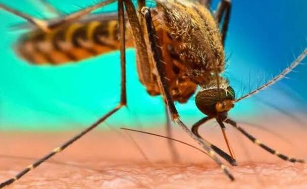 विश्व मलेरिया दिवस आज, जिले भर में होंगे जागरूकता संबंधी कार्यक्रम