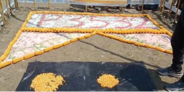 पायोनियर बीज कंपनी द्वारा शंकर मक्का के फसल कटाई दिवस मनाई गई।