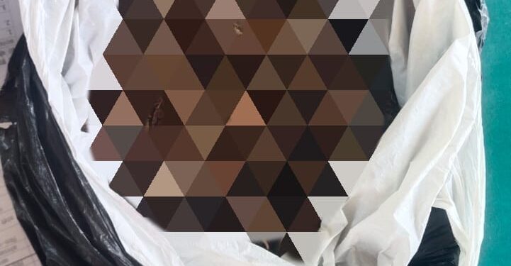 गिरजा चौक में गांजा के साथ युवक गिरफ्तार, के०हाट थाना की कार्रवाई सराहनीय।