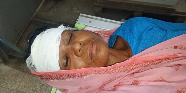 जमीनी विवाद को लेकर महिला पर जानलेवा हमला, गहना-नकद लूट; पीड़िता सदर अस्पताल में भर्ती
