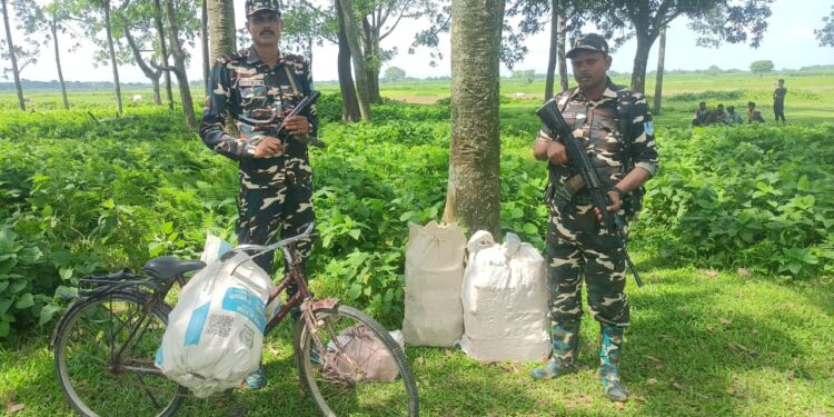 कुर्साकांटा- एसएसबी ने नेपाल से लाई जा रही 114.9 लीटर शराब जब्त की, तस्कर फरार।