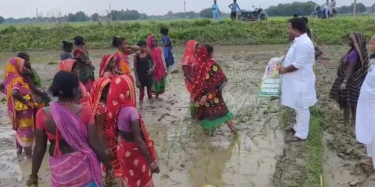 फारबिसगंज विधानसभा में अविनाश आनंद का जनसंपर्क अभियान तेज, राजद को जिताने की अपील