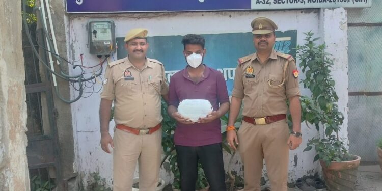 नोएडा –  थाना फेस-1 पुलिस की बड़ी कार्रवाई, गांजा तस्कर गिरफ्तार