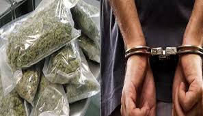 अररिया – नेपाली गांजा तस्कर को 16 वर्ष की सजा