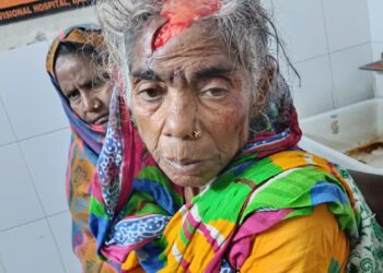 बारसोई, कटिहार – पागल कुत्ते का कहर आधा दर्जन लोगों किया घायल, दो की हालत गंभीर