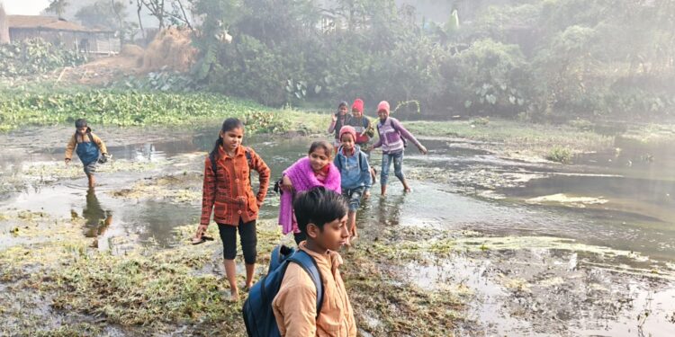 भरगामा – बिलेनिया नदी पार कर स्कूल जाते मासूम, लंबित पुल निर्माण पर फिर उठी आवाज