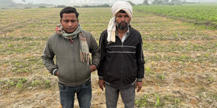 अररिया – मक्का की फसल नष्ट करने का आरोप, पीड़ित ने आरएस थाना में लगाई इंसाफ की गुहार