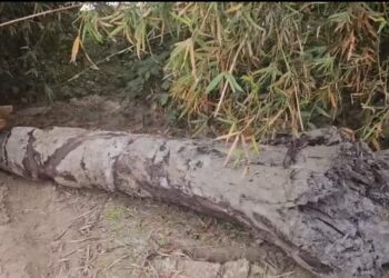 अररिया – रेलवे खुदाई और इतिहास का इत्तेफाक! 100 साल पहले भी पटरी बिछी तो निकली सभ्यता