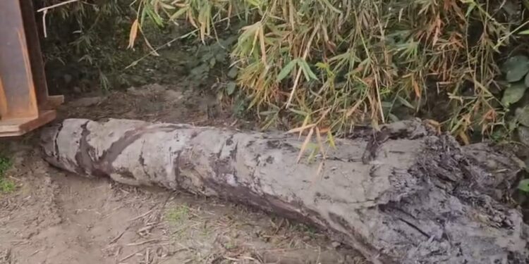 अररिया – रेलवे खुदाई और इतिहास का इत्तेफाक! 100 साल पहले भी पटरी बिछी तो निकली सभ्यता