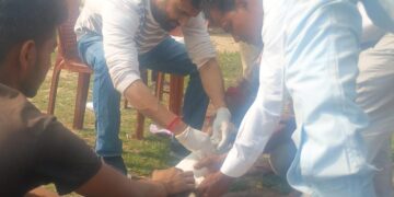 दरभंगा :- अज्ञात वाहन की टक्कर से एक बछड़ा गंभीर रूप से घायल, मानव चिकित्सक ने किया उपचार, इलाज से हालत स्थिर।