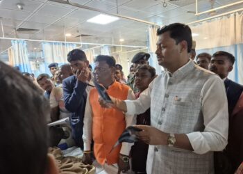 अनुसूचित जाति एवं अनुसूचित जनजाति कल्याण विभाग