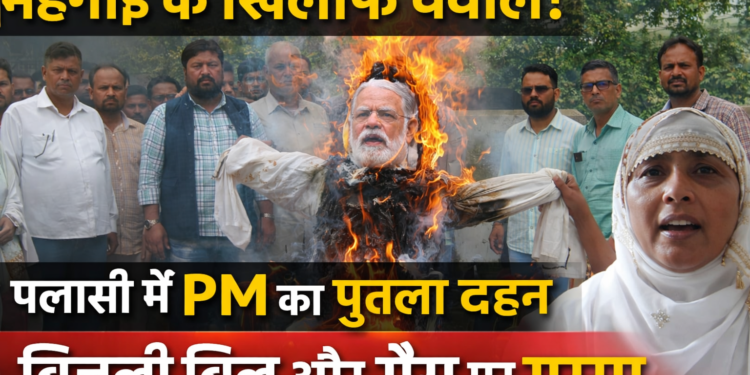 पलासी – महंगाई, बिजली बिल और गैस संकट के खिलाफ पलासी में प्रदर्शन, पीएम का पुतला किया दहन