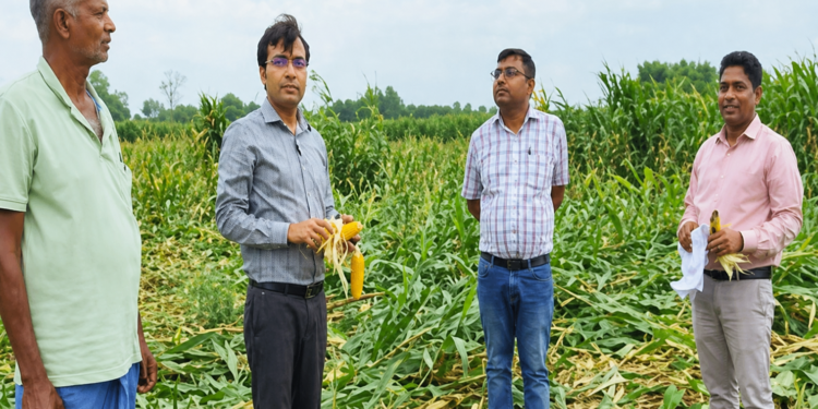 पूर्णिया – फसल क्षति का जमीनी सत्यापन तेज, प्रशासन की सख्ती से किसानों में बढ़ी राहत की उम्मीद